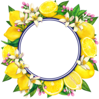 Watercolor mediterranean lemon frame png