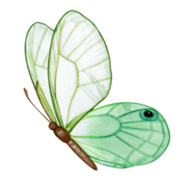 acuarela mano dibujado mariposa png