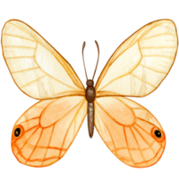 aguarela mão desenhado borboleta png