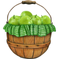 watercolor hand drawn realistic apples png