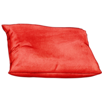 aquarelle main tiré coussin png