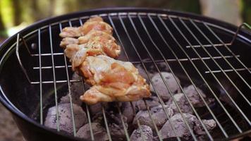 poniendo pollo piezas en carbón hogar barbacoa parrilla video