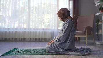 musulmán mujer cuyo religión es islam es Orando. contento joven musulmán mujer Orando en islámico fe. video