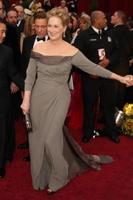 Meryl Streep  arriving at the 81st Academy Awards at the Kodak Theater in Los Angeles CA  onFebruary 22 20092009 photo