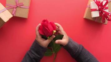 Child holding gift box and rose flower on red background video