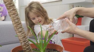 mère et fille l'eau le fleurs dans leur maison. mère et fille sont arrosage fleurs à maison. video