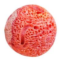 ball from red sponge coral gemstone isolated photo