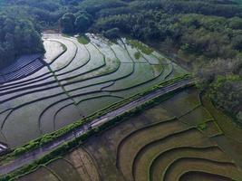 hermosa vista de la mañana indonesia panorama paisaje arrozales con color de belleza y luz natural del cielo foto