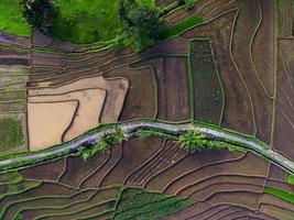 hermosa vista de la mañana indonesia panorama paisaje arrozales con color de belleza y luz natural del cielo foto