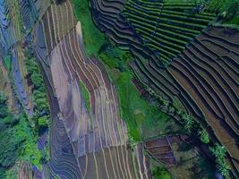 Beautiful morning view indonesia panorama landscape paddy fields with beauty color and sky natural light photo