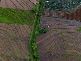 Beautiful morning view indonesia panorama landscape paddy fields with beauty color and sky natural light photo