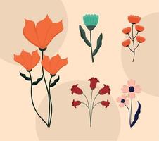 colorful flowers set vector