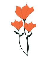 orange flowers illustration vector