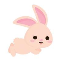 beautiful pink bunny vector