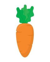 ilustración de zanahoria naranja vector