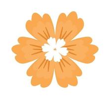 yellow flower illustration vector