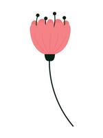 pink flower illustration vector