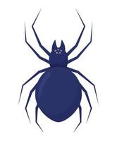 diseño de araña negra vector