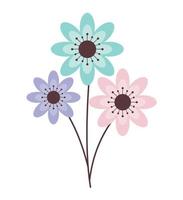 colored flowers design vector