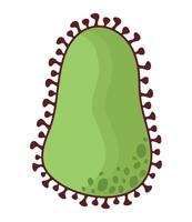 ilustración de bacteria verde vector