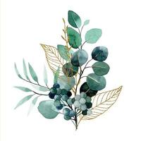 watercolor drawing. bouquet, composition of tropical eucalyptus leaves with golden elements. vector