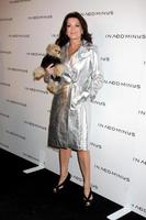 LOS ANGELES  NOV 18  Lisa Vanderpump arrives at the In Add Minus LA Store Launch Party at 5900 Wishire Blvd on November 18 2010 in Los Angeles CA photo