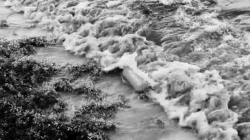 muy asqueroso rojo algas marinas sargazo playa con basura contaminación México. video