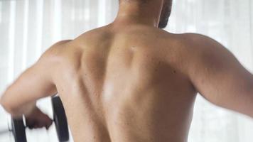 Muscular fit man doing exercise. Back view of bodybuilder man. video