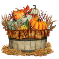 Watercolor harvest pumpkin basket decoration png