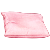 aquarelle main tiré coussin png