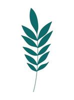 plant stem design vector