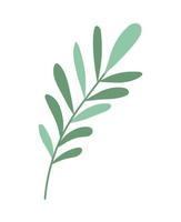 plant branch icon vector
