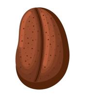 brown coffee bean vector