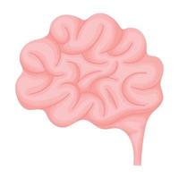 colored brain illustration vector