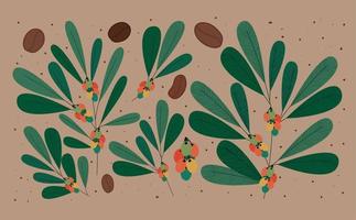 coffee trees and beans vector