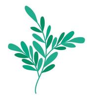 tree branch illustration vector