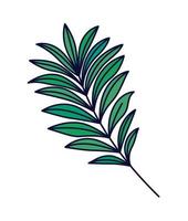 green olive branch vector
