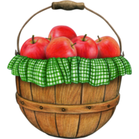 watercolor hand drawn realistic apples png