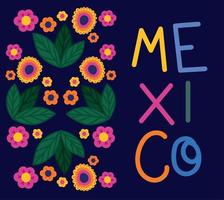 colored mexico card vector