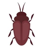 colored cockroach design vector