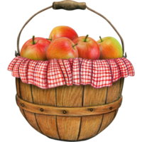 watercolor hand drawn realistic apples png