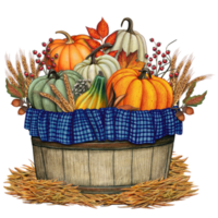Watercolor harvest pumpkin basket decoration png
