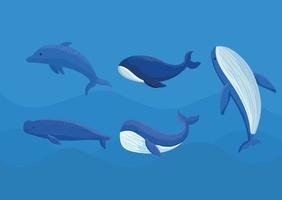 colored whales bundle vector