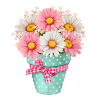 Watercolor spring flower pot of colorful daisies png