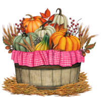 Watercolor harvest pumpkin basket decoration png