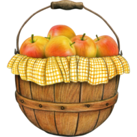 watercolor hand drawn realistic apples png