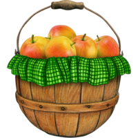 watercolor hand drawn realistic apples png