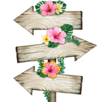 vattenfärg trä- pilar med hibiskus blommor och frangipani png