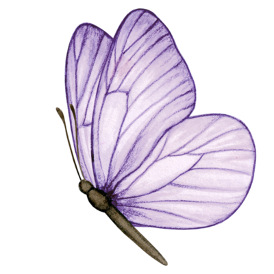 Purple Butterfly PNGs for Free Download