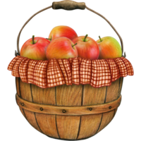 watercolor hand drawn realistic apples png